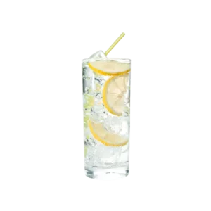GinTonic